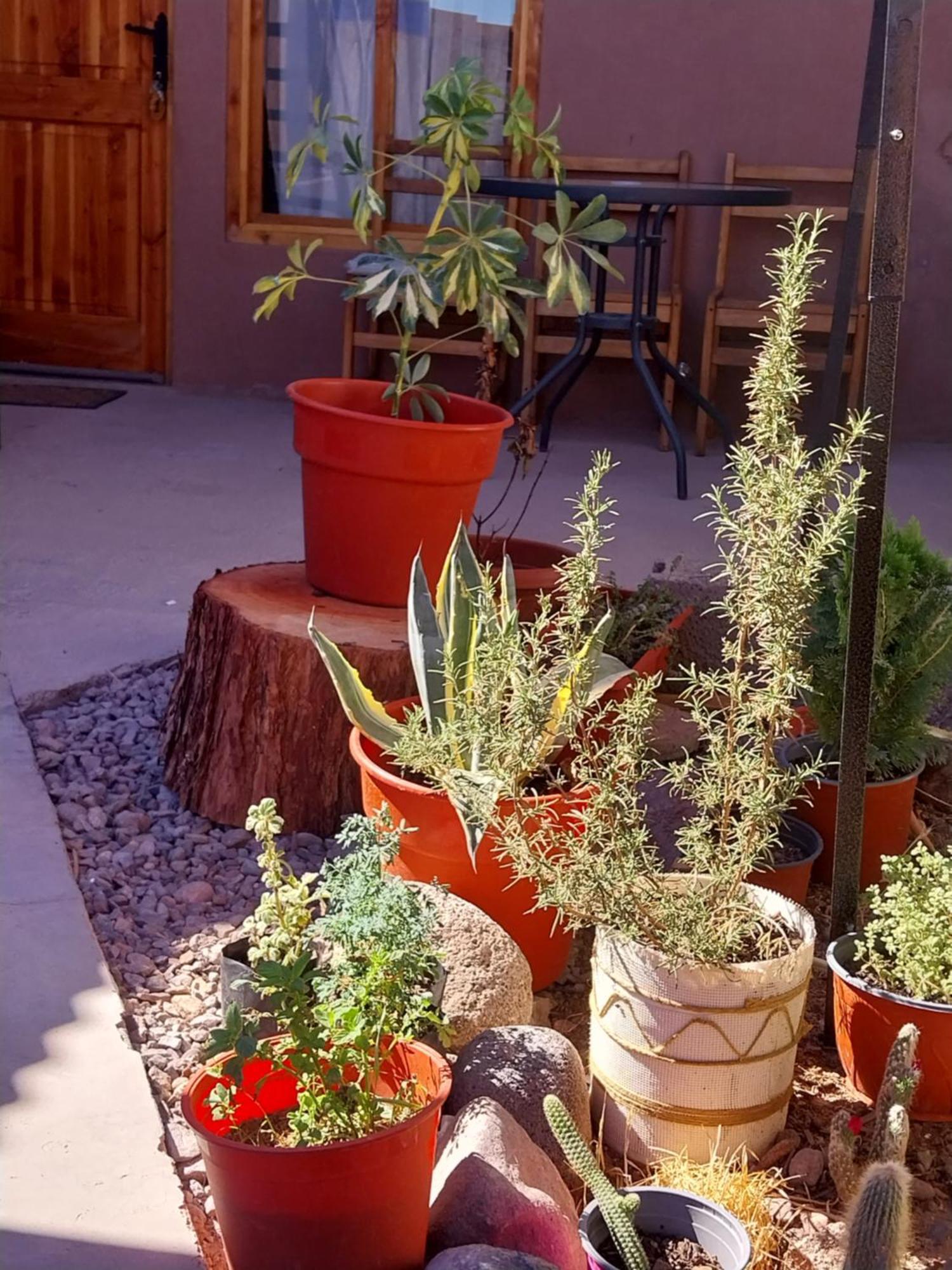 Casa Nawi Acomodação com café da manhã San Pedro de Atacama Quarto foto